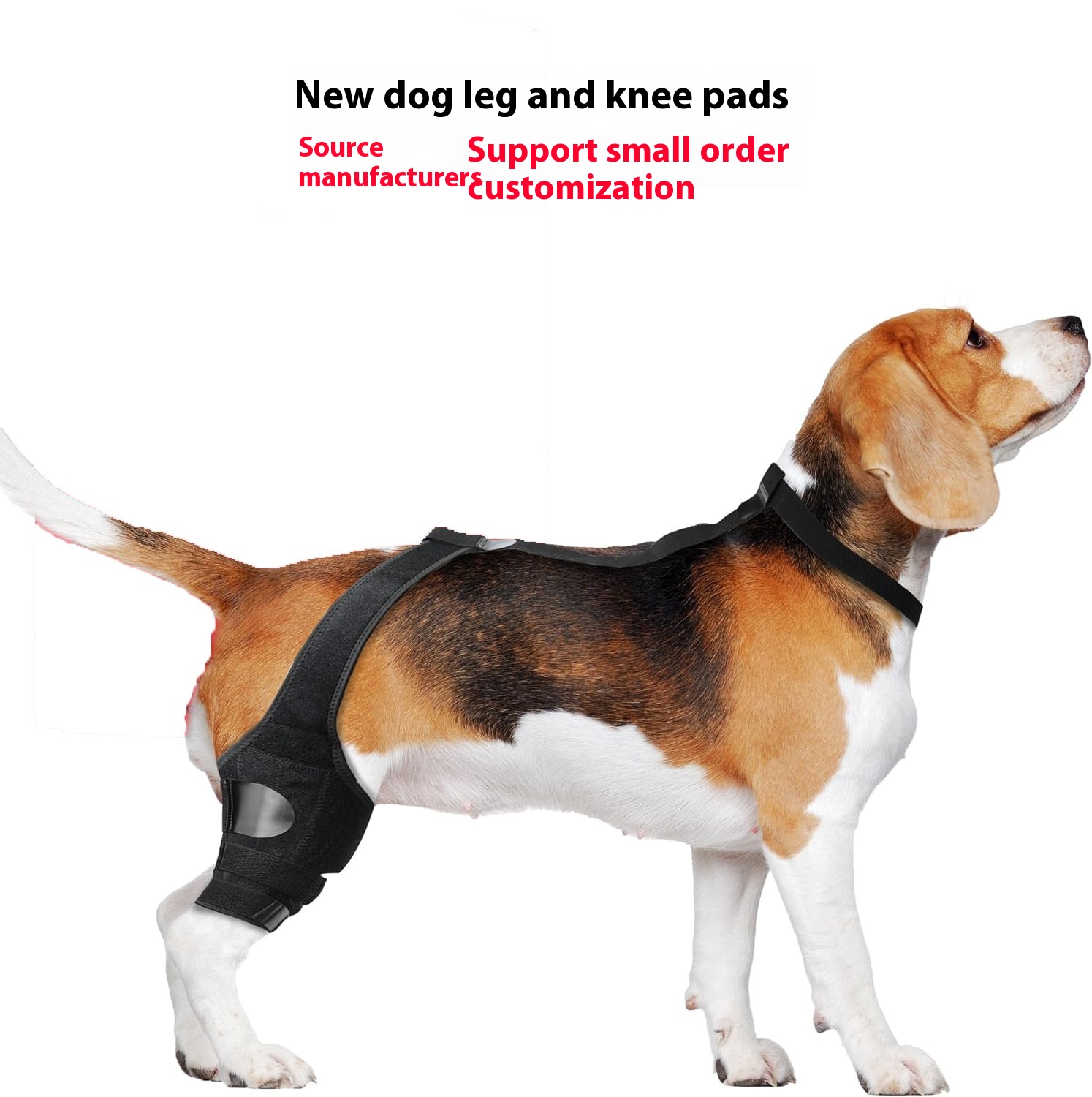 CanineSupport Hind Leg Brace